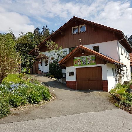 Ferienwohnung Dersch Маут Екстериор снимка