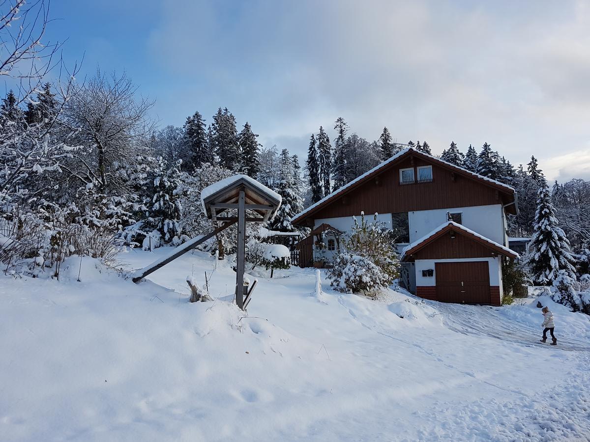 Ferienwohnung Dersch Маут Екстериор снимка